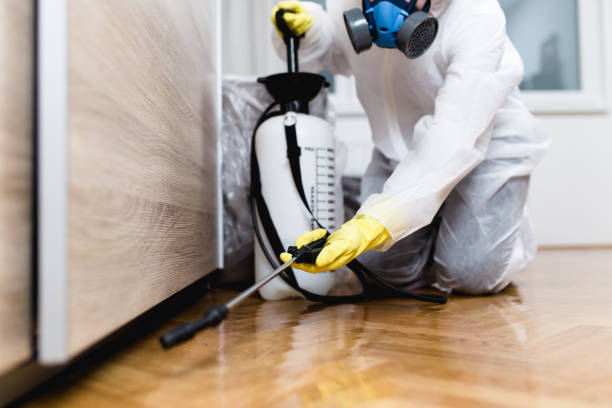 Best Wildlife Control Services  in Westvale, NY