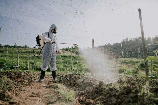 Wasp Removal Services in Westvale, NY
