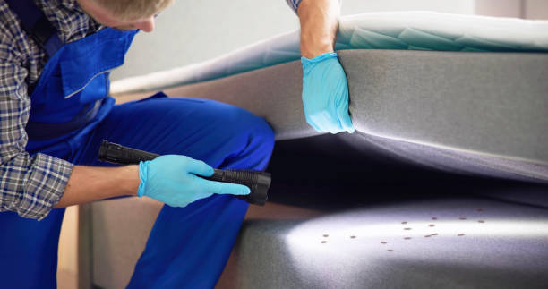 Best Commercial Pest Control Services  in Westvale, NY