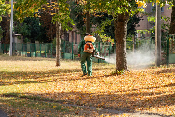 Best Residential Pest Control  in Westvale, NY